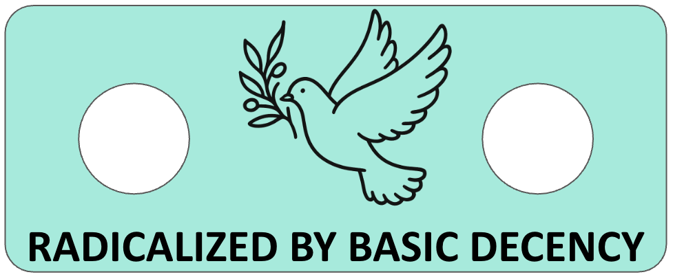 LokPin with a dove and olive branch design on a light blue background, featuring text 'RADICALIZED BY BASIC DECENCY'.