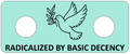 LokPin with a dove and olive branch design on a light blue background, featuring text 'RADICALIZED BY BASIC DECENCY'.