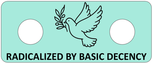 LokPin with a dove and olive branch design on a light blue background, featuring text 'RADICALIZED BY BASIC DECENCY'.