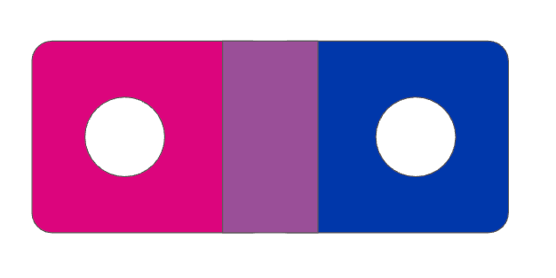 1.5" Bi Pride Flag